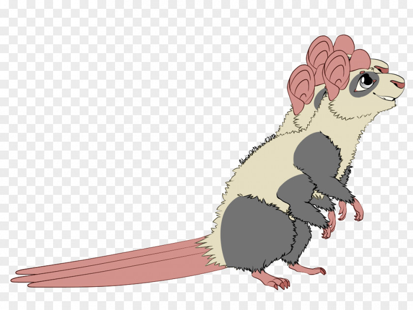 Rat & Mouse Rodent Muroidea Animal PNG