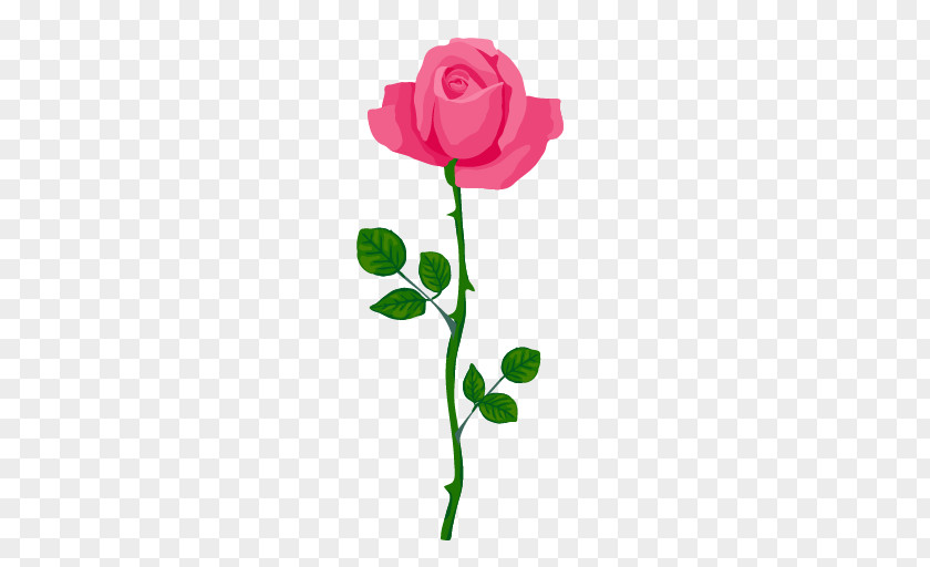 Rose Garden Roses Cut Flowers Floral Design Bud PNG