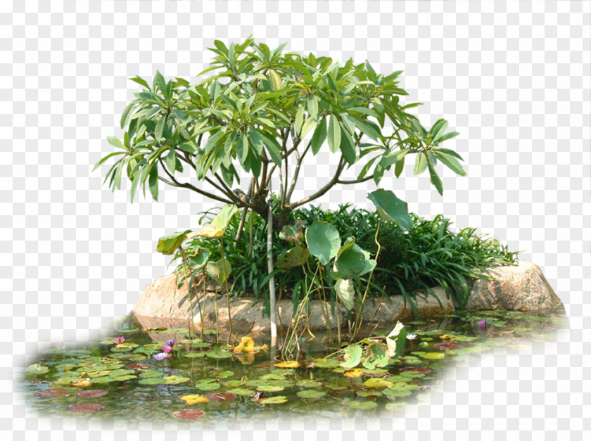 Creative Garden Trees Tree Flowerpot Houseplant PNG