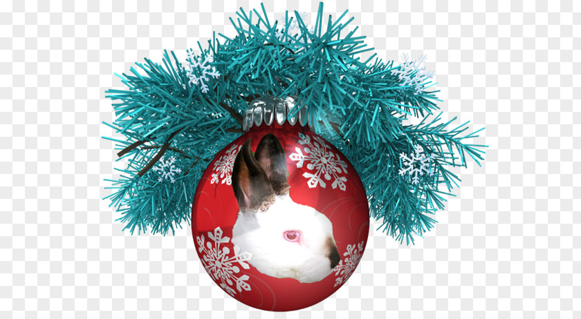 Mickey's Once Upon A Christmas Ornament Pawsome Day YouTube Boxing PNG