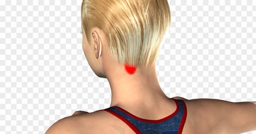 Neck Pain Blond Hair Coloring Pixie Cut Bangs Bob PNG