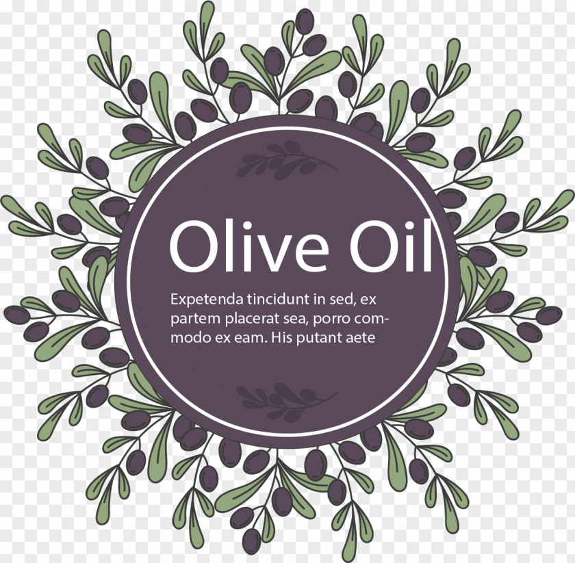 Olive Branch Decorative Cover Leaf PNG