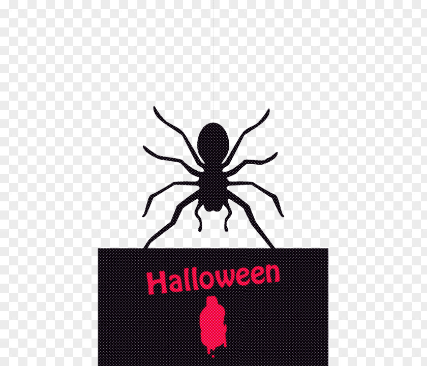 Spider Black Logo Text Arachnid PNG