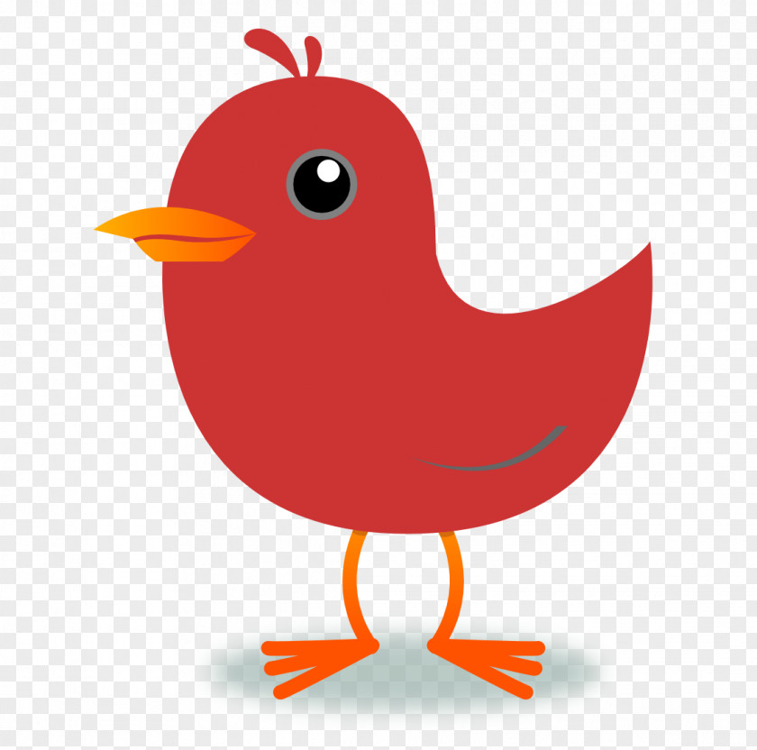 Transparent Bird Cliparts Northern Cardinal Clip Art PNG