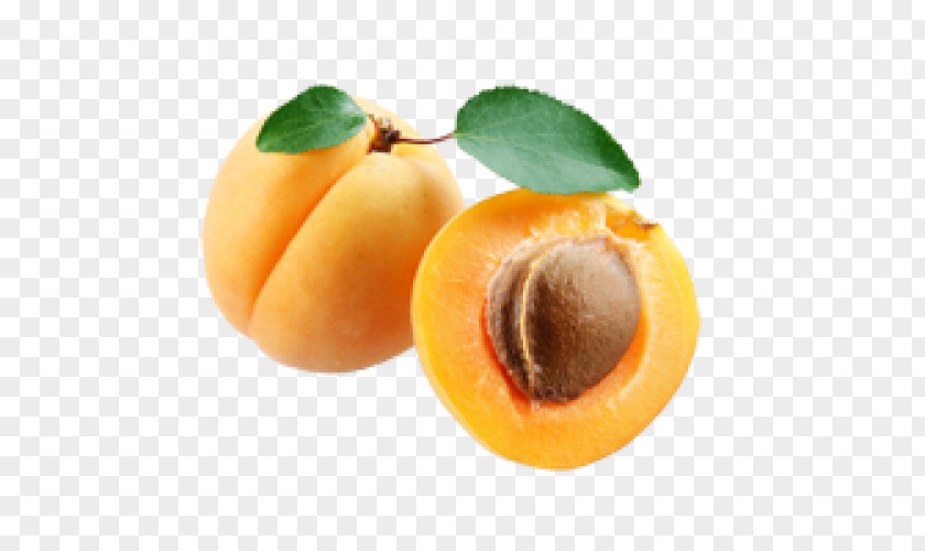 Apricot Clip Art PNG