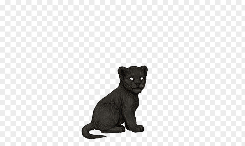 Cat Whiskers Black Fur Snout PNG