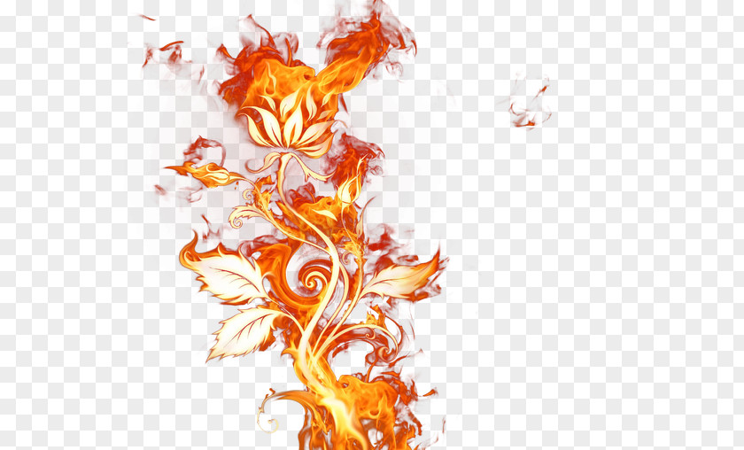 Fire Elemental Flame Clip Art PNG
