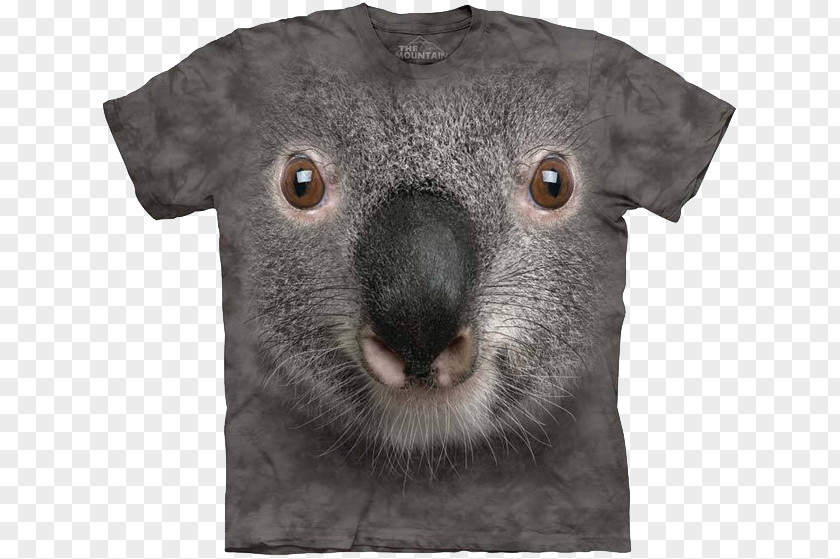 T-shirt Koala Bear Australia PNG