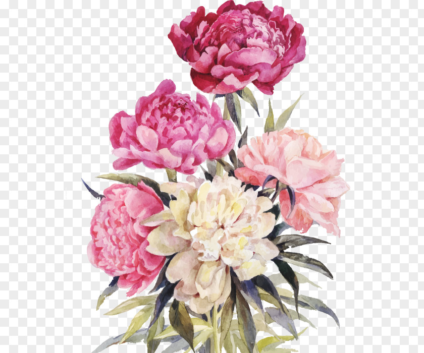 Vector Watercolor Flower Peony Bouquet Illustration PNG