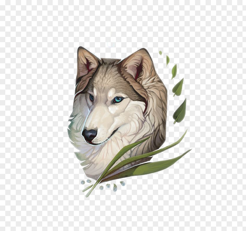 Wolf Siberian Husky Gray Saarloos Wolfdog Drawing Illustration PNG