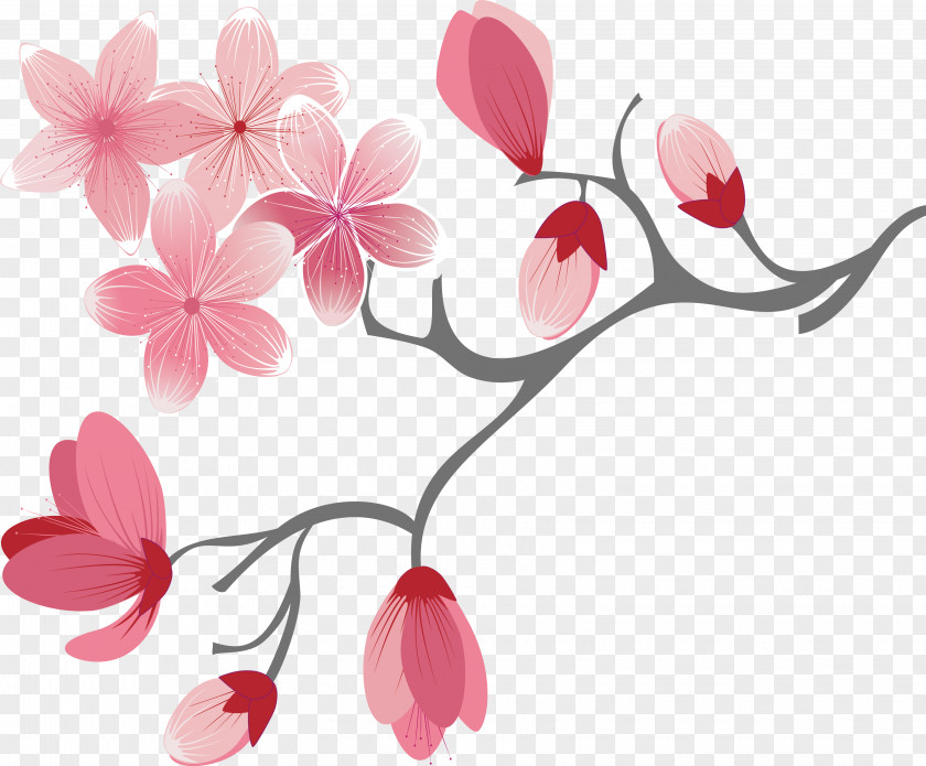 Cartoon Pink Cherry Blossoms Blossom PNG