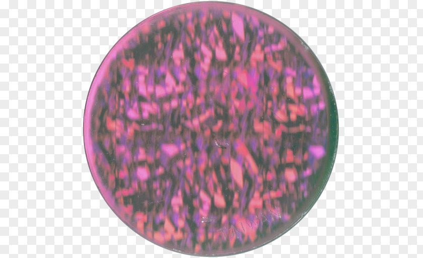 Flare Starburst Transparent 8 Star 300dpi Organism Pink M PNG