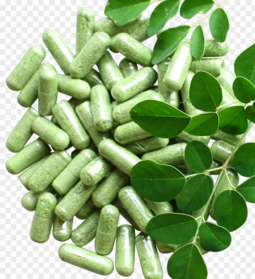 Moringa Drumstick Tree Capsule Herb Tablet PNG