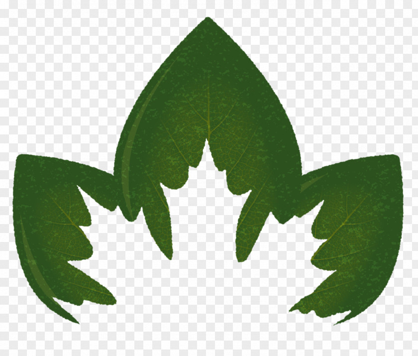 Stock Photography Maple Leaf Vector Graphics Fotosearch PNG