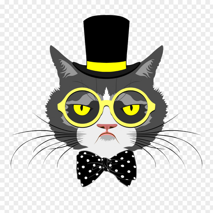 Cat Pattern Kitten Stock Photography Hat PNG