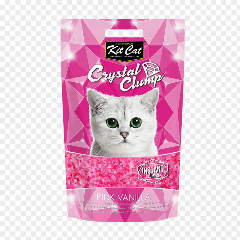 Cat Pink Litter Trays Dog Pet Shop PNG