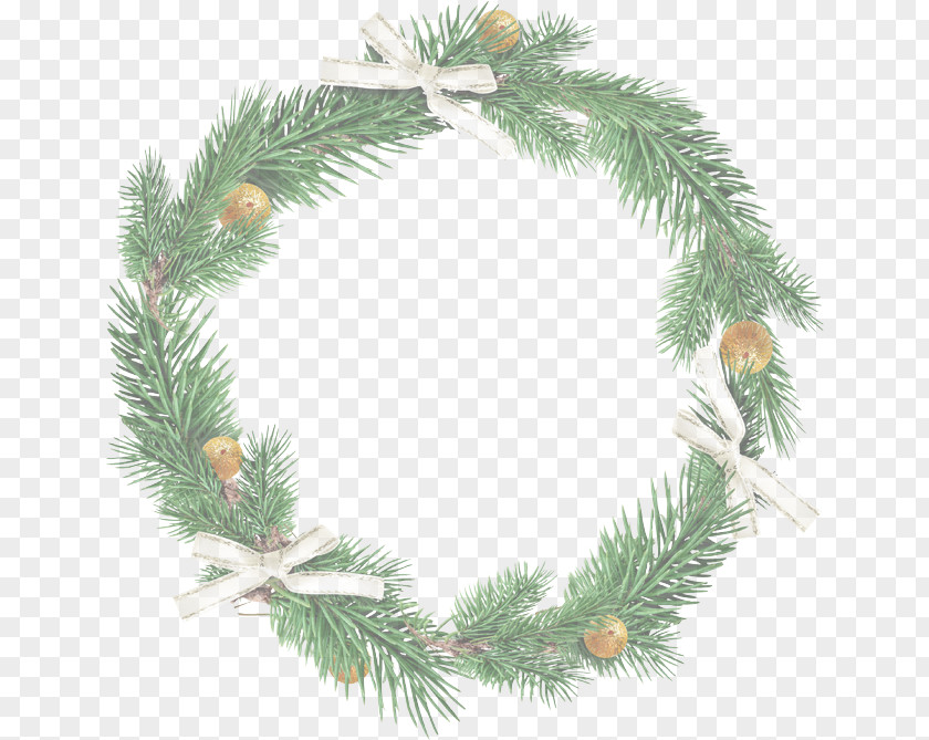 Fir Red Pine Christmas Decoration PNG