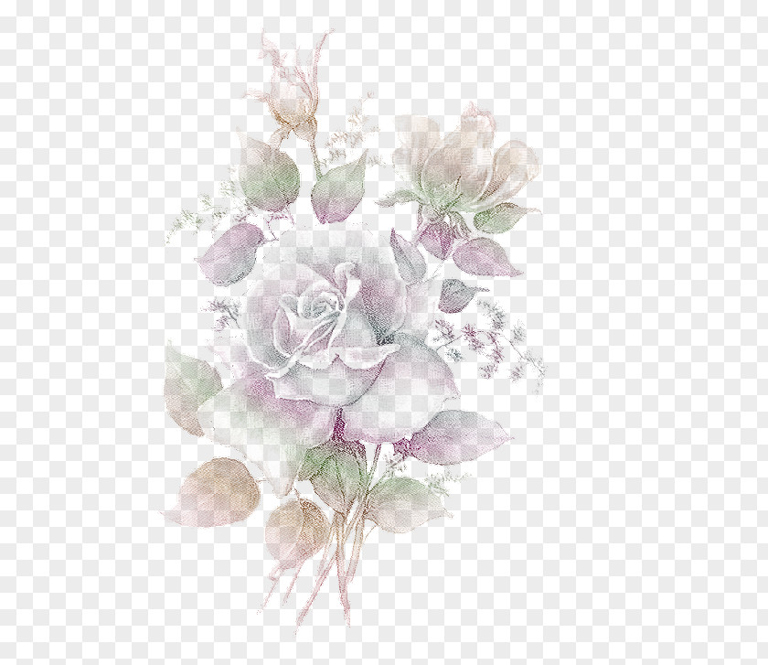 Flower Garden Roses Bouquet Cabbage Rose Floral Design PNG