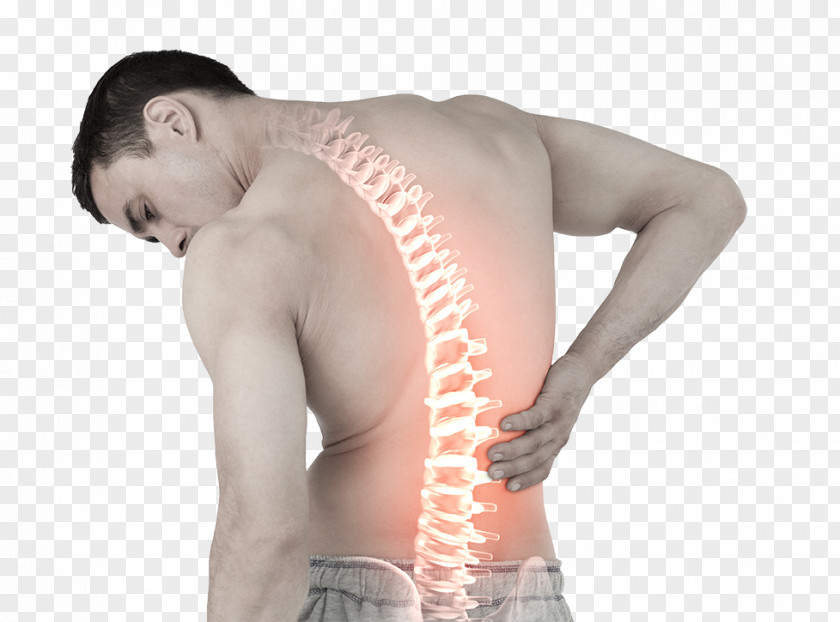 Health Low Back Pain Ayurveda Sciatica Human PNG