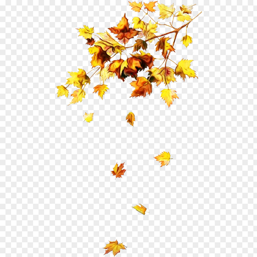 Maple Wildflower Watercolor Floral Background PNG