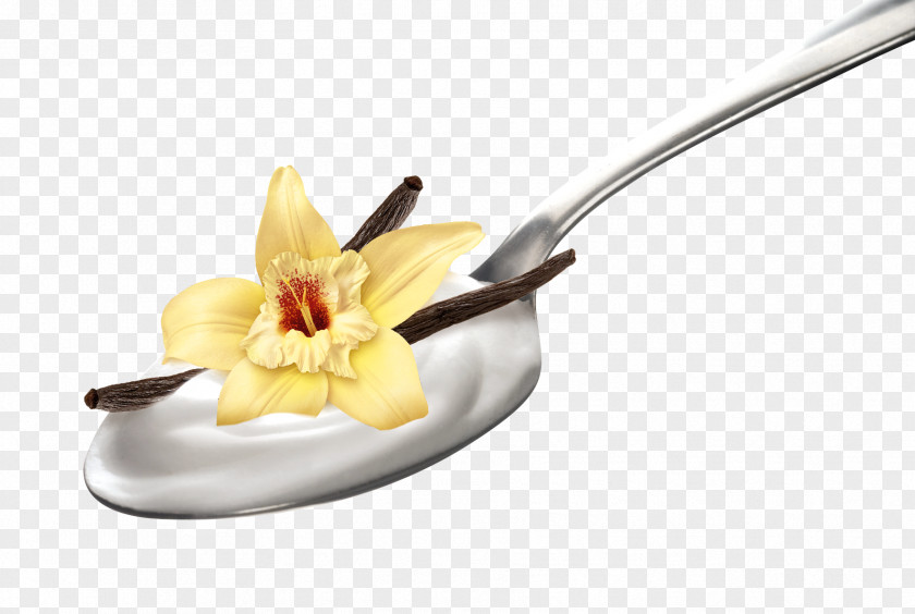 Rich Flowers Milk Yoghurt Vanilla Flavor Extract PNG