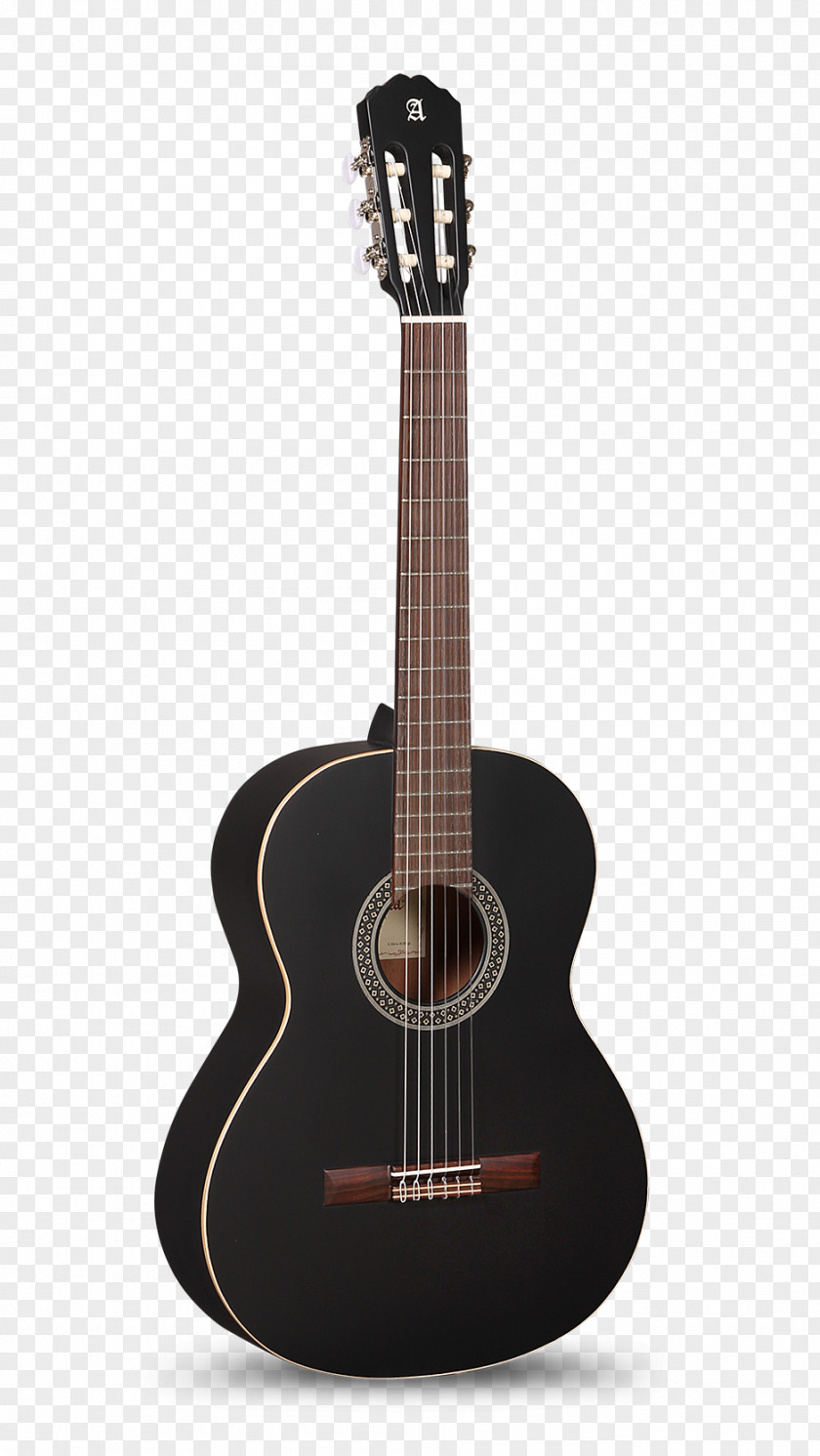 Acoustic Guitar C. F. Martin & Company Acoustic-electric Classical PNG