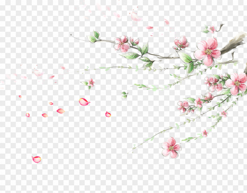 Plum Corner Flower Cherry Blossom Wallpaper PNG