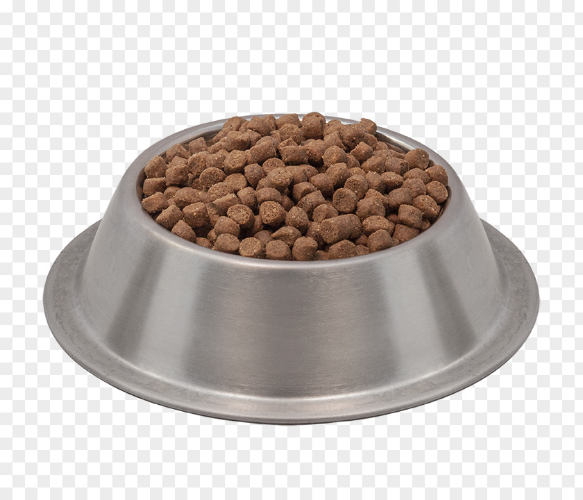 Dog Food Dish Cat PNG