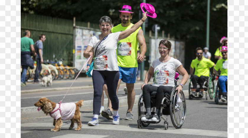 Festa Della Donna Long-distance Running Wheelchair Mammal Health Endurance PNG