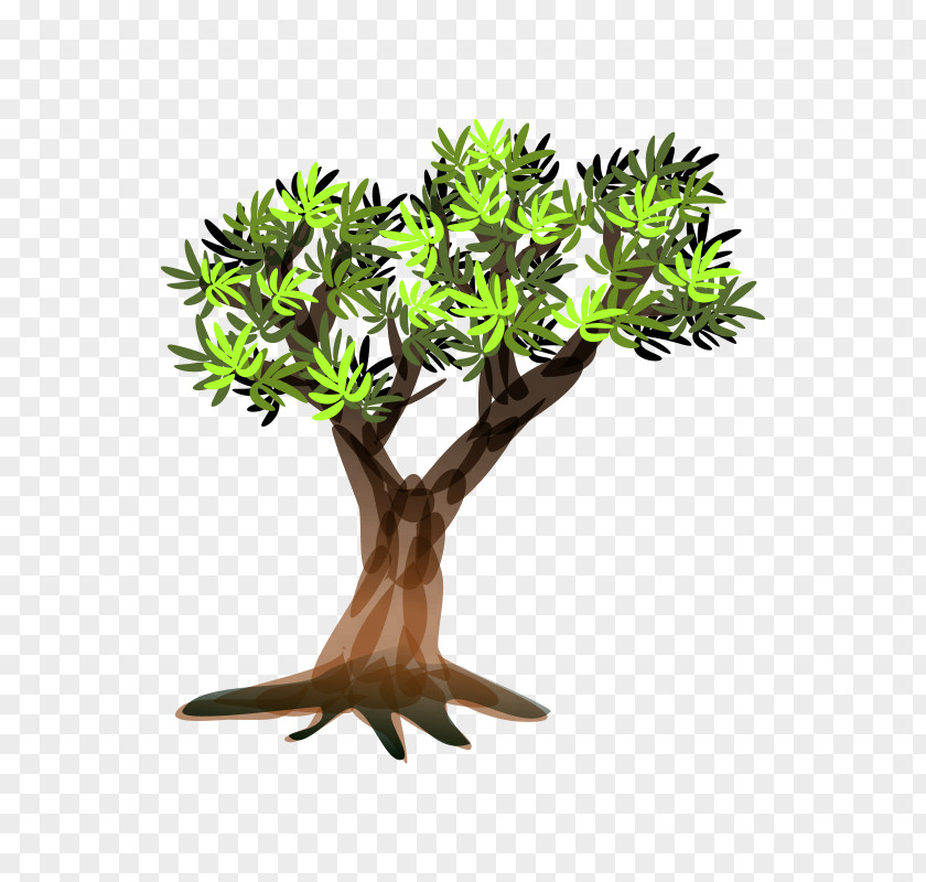 Forest Tree Care Ltd Clip Art PNG