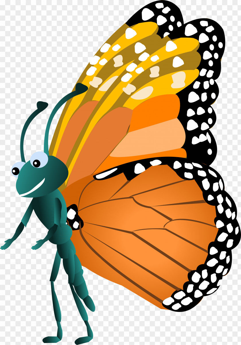 Insect Monarch Butterfly Clip Art Vector Graphics PNG