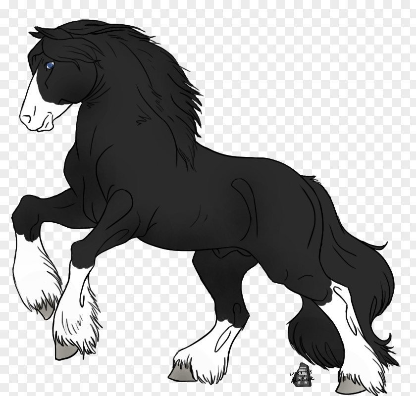 Mustang Mane Pony Gypsy Horse Foal PNG