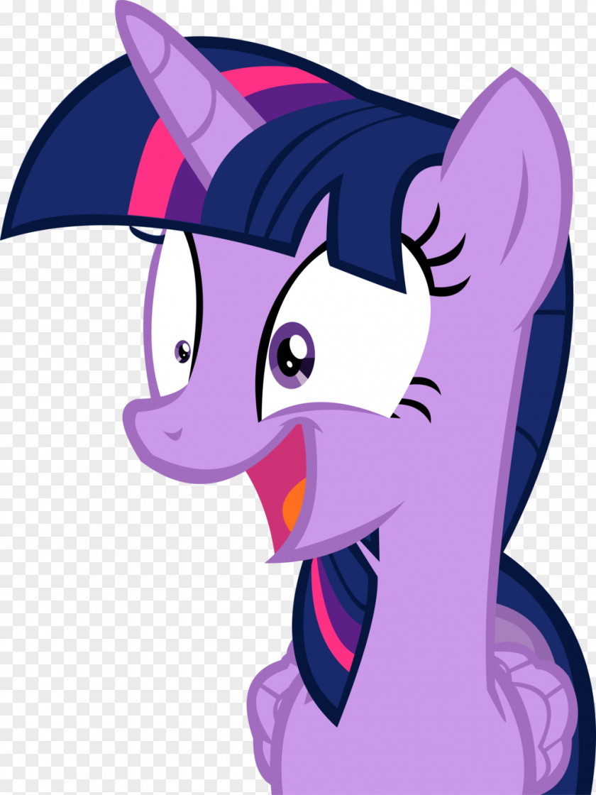 My Little Pony Twilight Sparkle Pinkie Pie Rarity Pony: Friendship Is Magic Fandom PNG