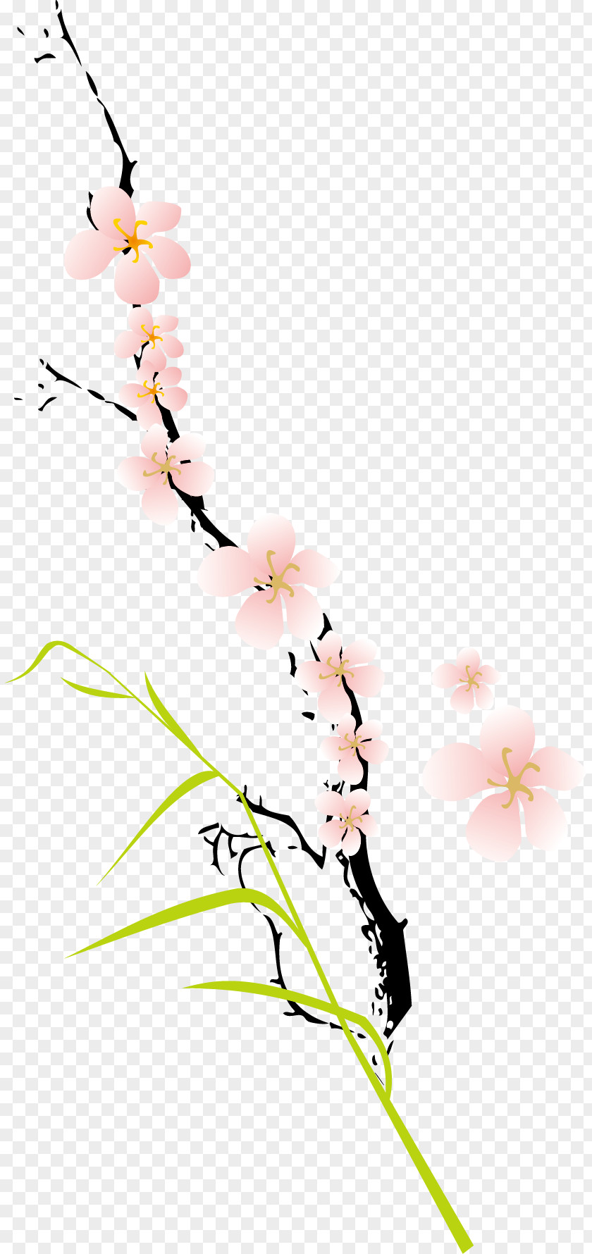 Peach Blossoms Clip Art PNG