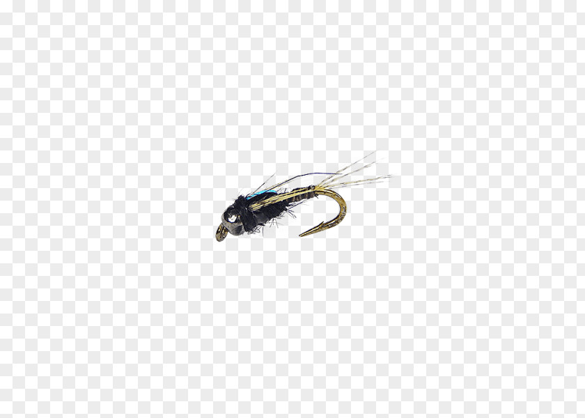 Soft Hackle Flies Pest PNG