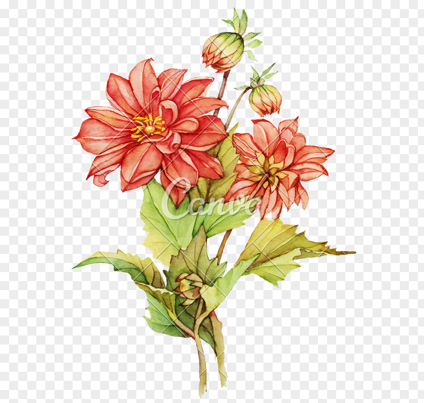 Watercolour Flower Stock Photography Watercolor Painting Drawing PNG