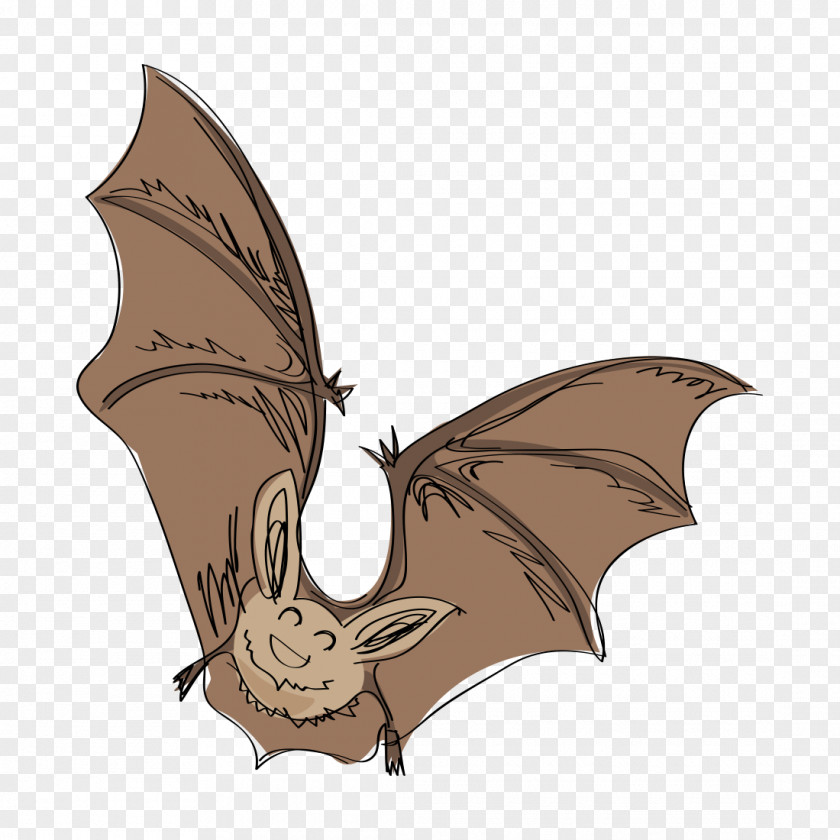 Cartoon Bats Bat Drawing Sketch PNG