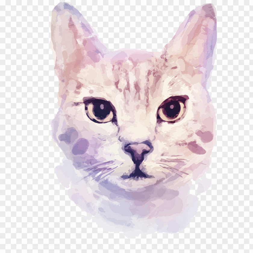 Cat Hand Painted Kitten Watercolor Painting Illustration PNG