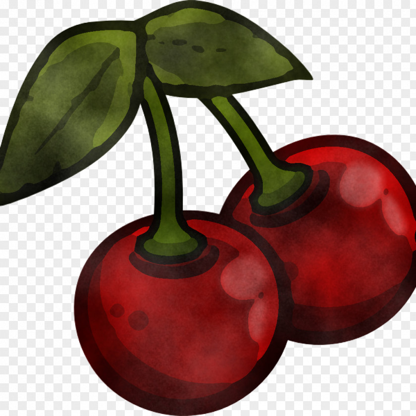 Cherry Plant Leaf Tree Fruit PNG