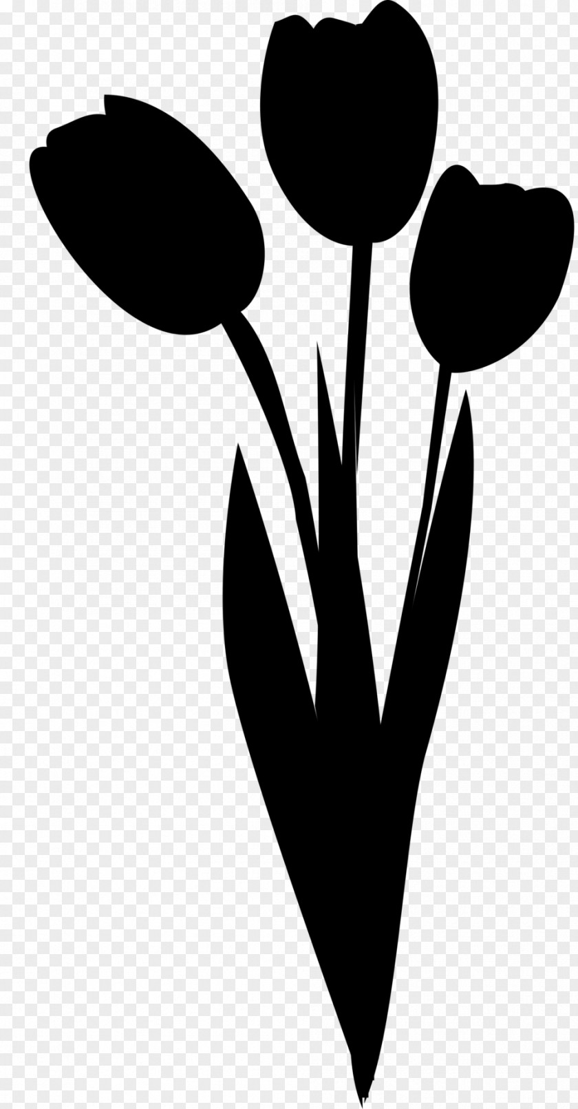 Clip Art Heart Flowering Plant M-095 Plants PNG