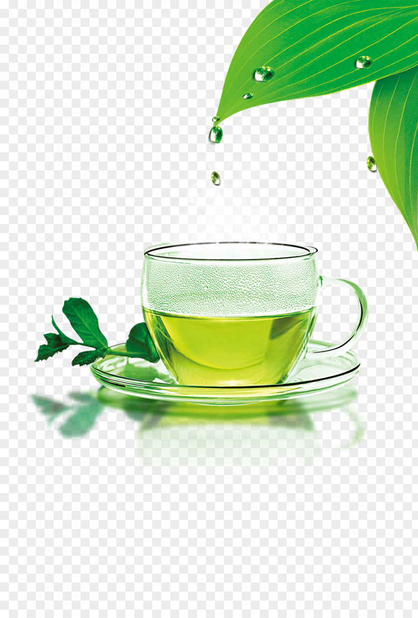Fresh Green Tea Cafe Icon PNG