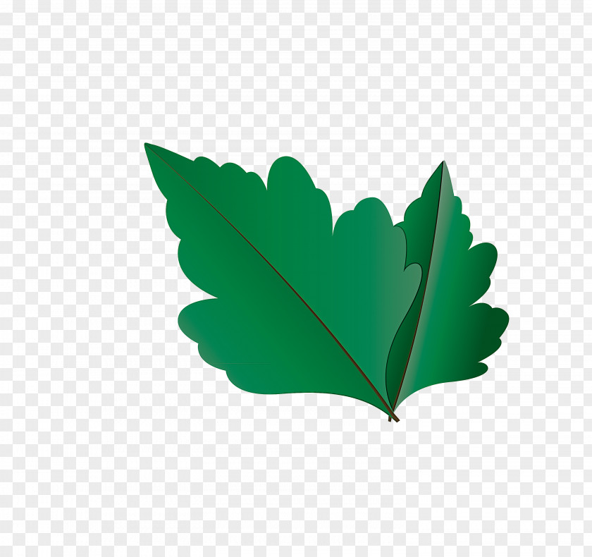 Maple Leaf PNG