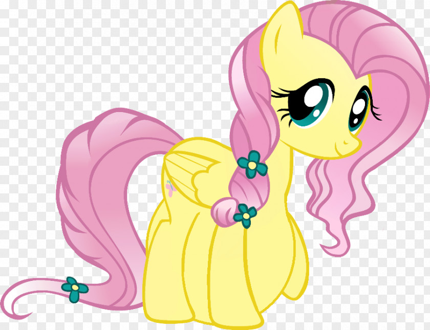 My Little Pony Fluttershy Rarity Rainbow Dash Pinkie Pie PNG