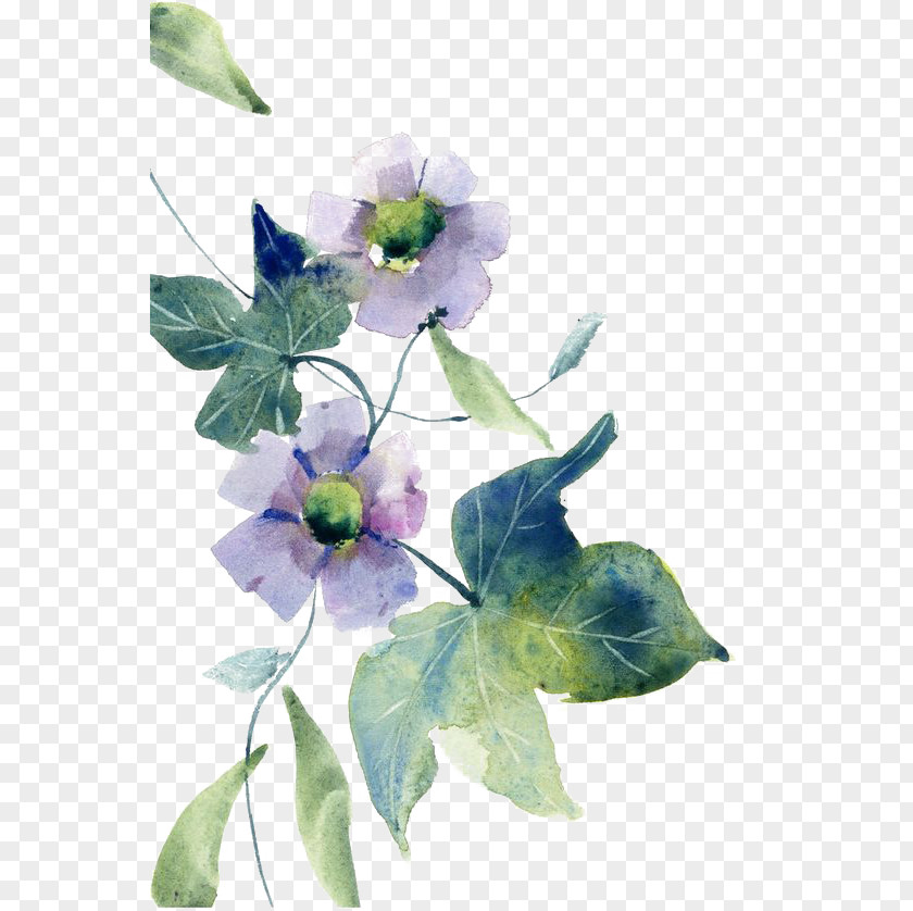 Watercolor Flowers Painting Watercolor: Floral Design PNG