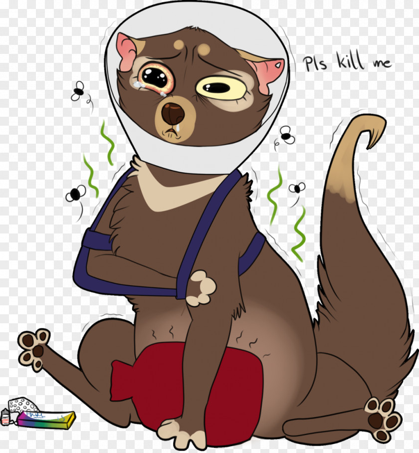 Cone Shame Cat Dog Clip Art Bear Illustration PNG