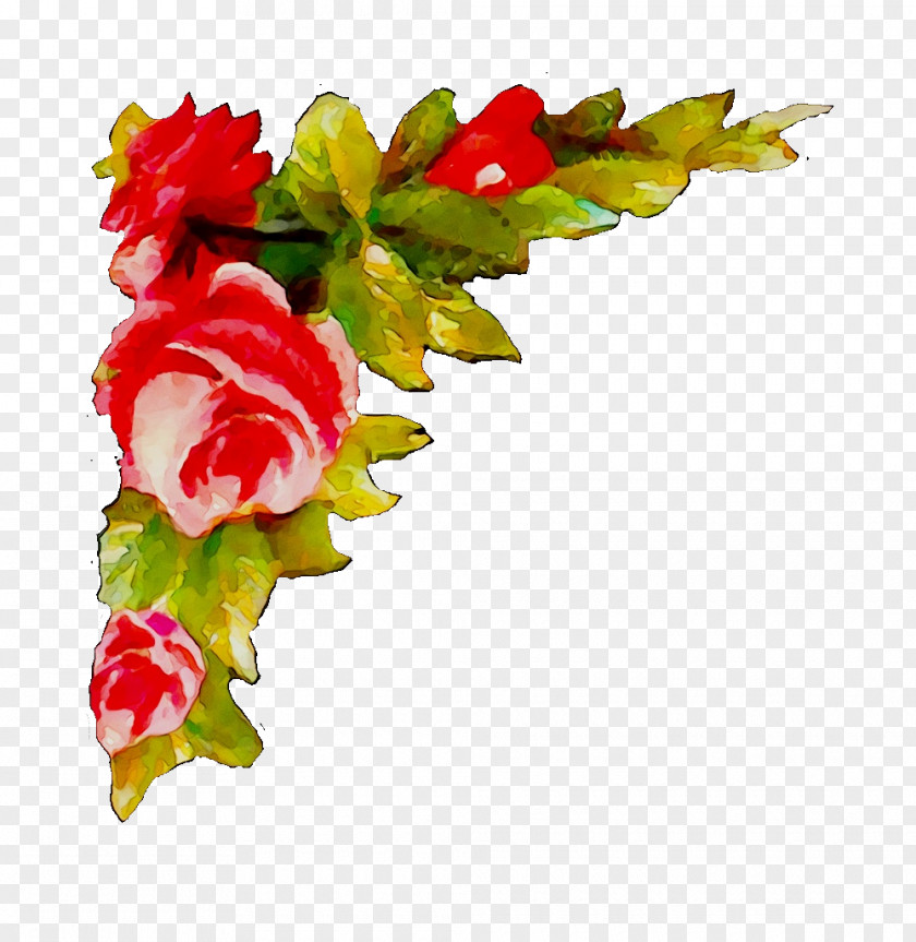 Garden Roses Cut Flowers Floral Design Artificial Flower PNG