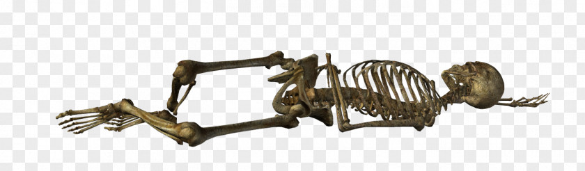 Gothic Architecture Art Skeleton Skull PNG