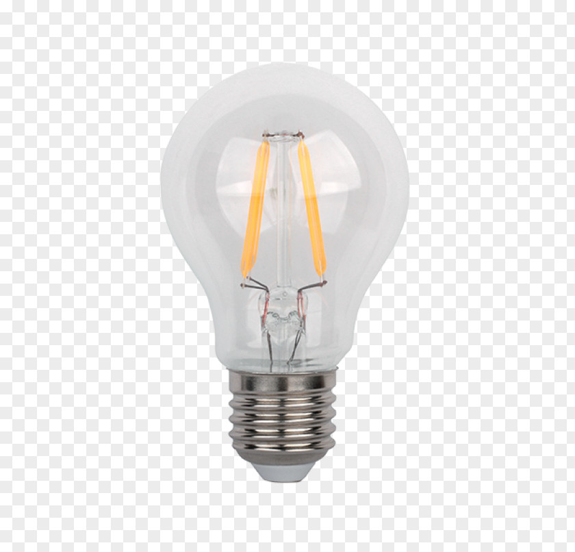 Led Filament Lighting LED Lamp Edison Screw PNG