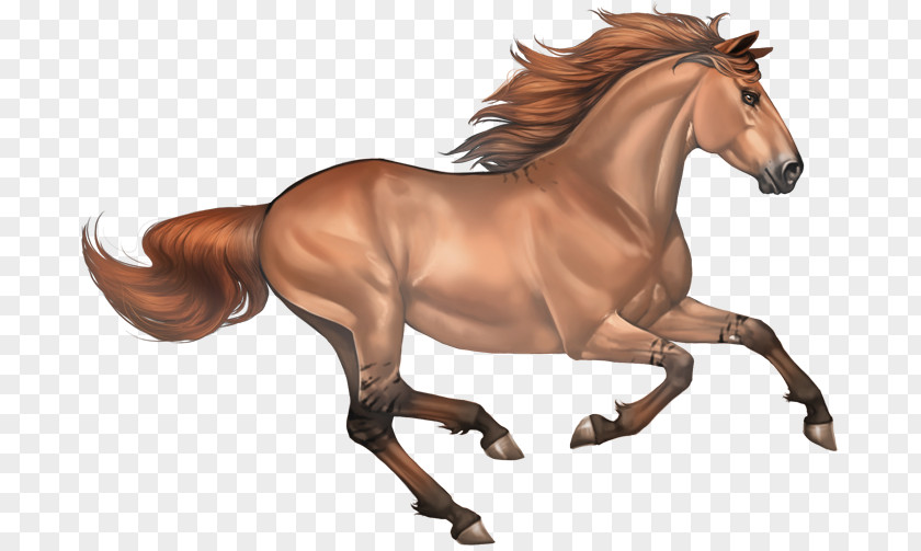 Sorrel Mustang Clip Art Arabian Horse Stallion PNG