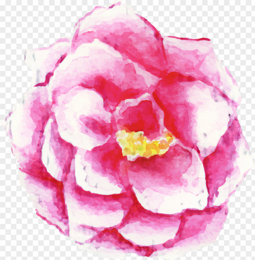 Watercolor Painting Rose Flower Drawing Japan PNG